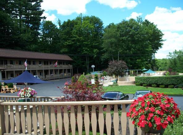 Tall Pines Motel Lake George Eksteriør billede