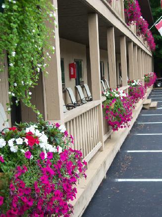 Tall Pines Motel Lake George Eksteriør billede