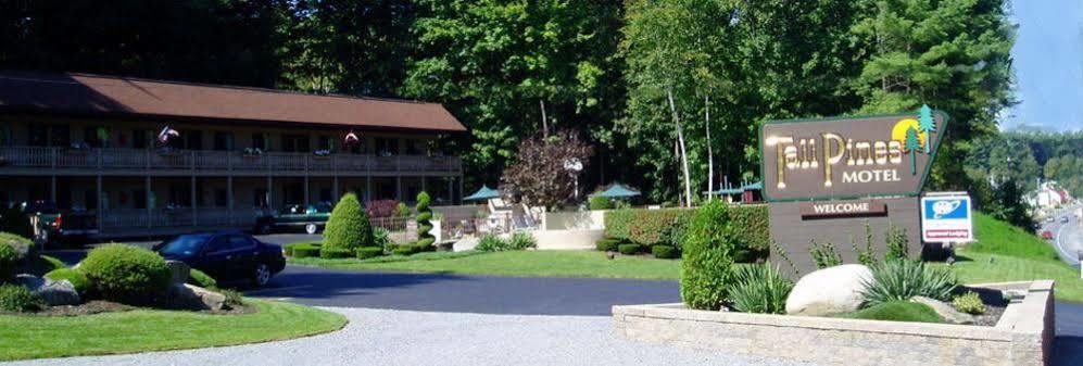 Tall Pines Motel Lake George Eksteriør billede